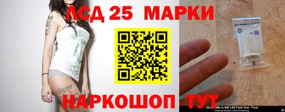 стаф Новокубанск