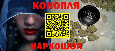 стаф Новокубанск