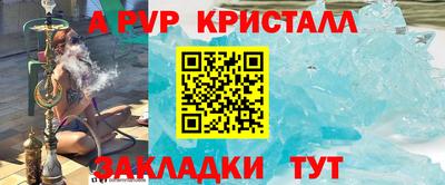 стаф Новокубанск
