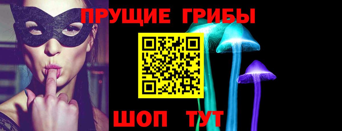 Галлюциногенные грибы MAGIC MUSHROOMS  Галлюциногенные грибы ЛСД  Вход с VPN  Советск 